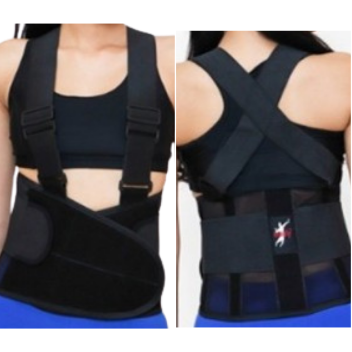 Back Support Belt