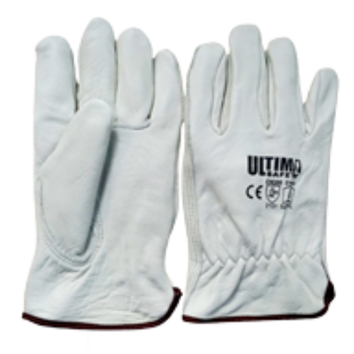 CSG1501CH (CS36261) COW-GRAIN LEATHER DRIVER GLOVES