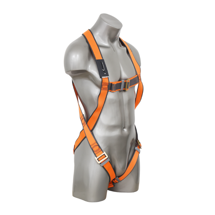 Essential Harness