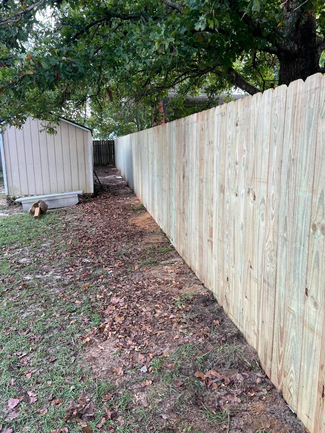 Wooden fence in a backyard, next to a shed and a tree, with brown leaves on the ground.