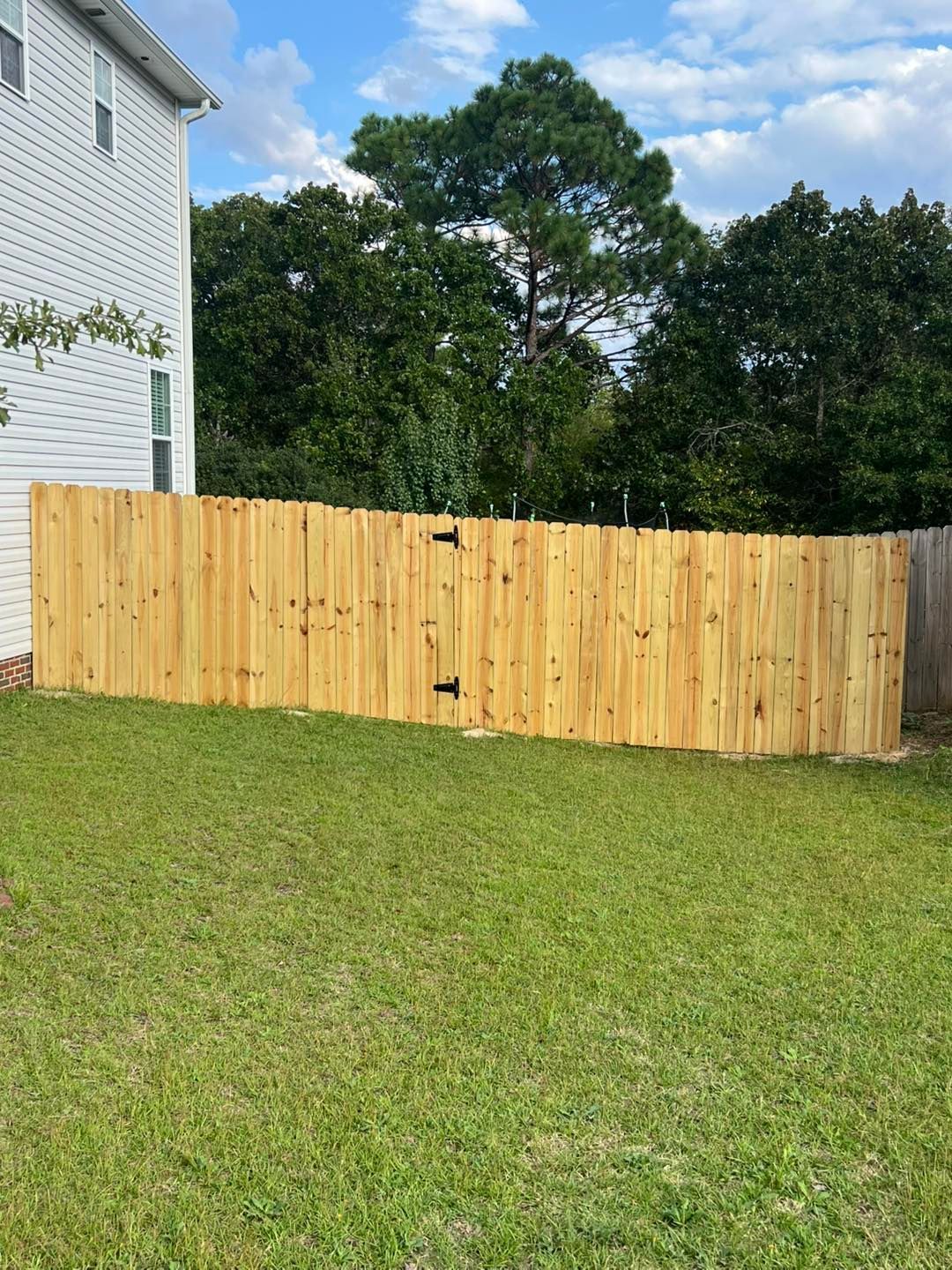 Wooden fence in a grassy yard, next to a white house. Trees in the background, blue sky.