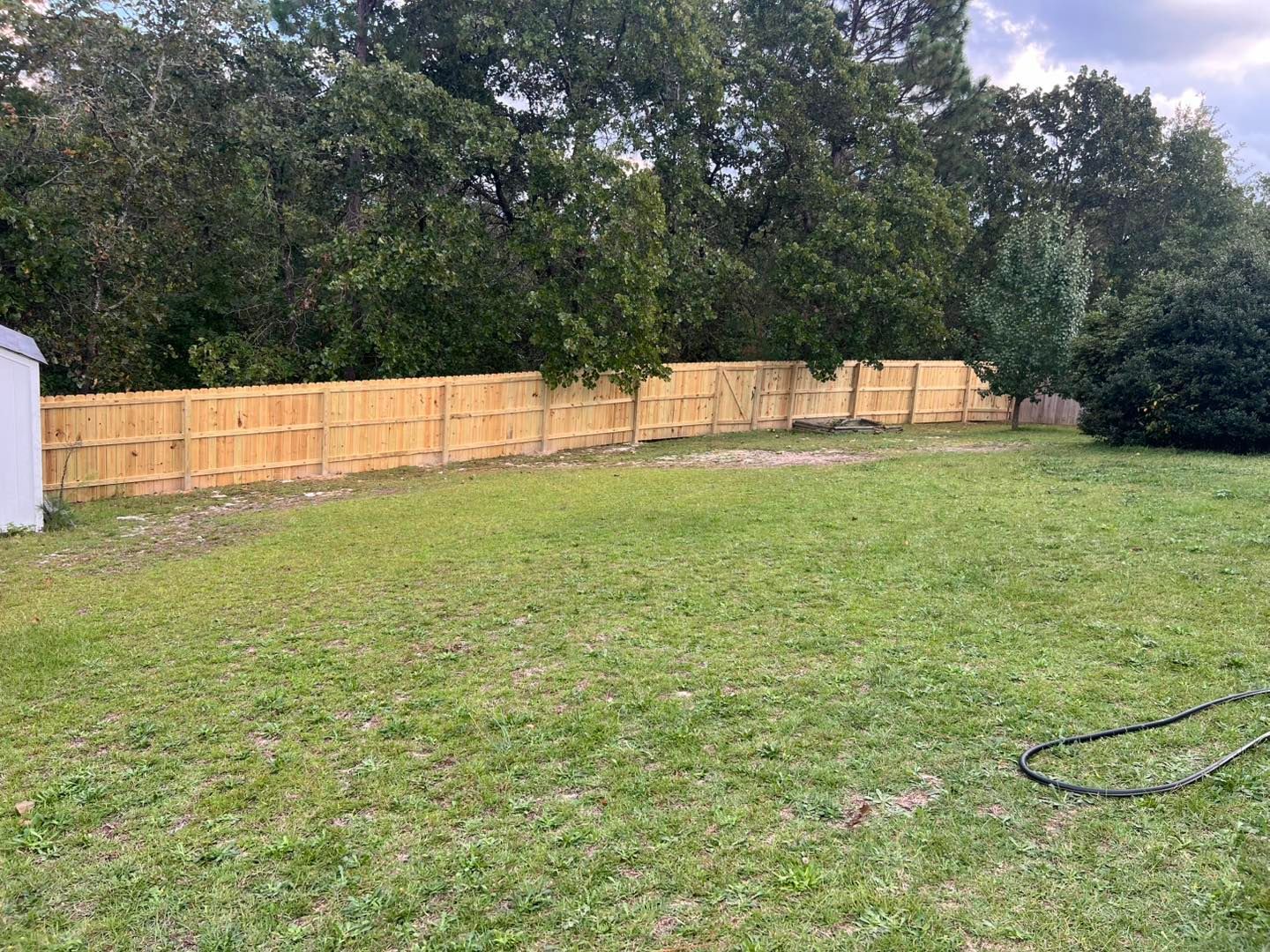 Backyard with green grass and a new wooden fence, trees in the background, overcast sky.