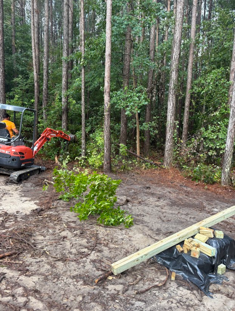 An excavator clearing brush in a forest, preparing a building site.