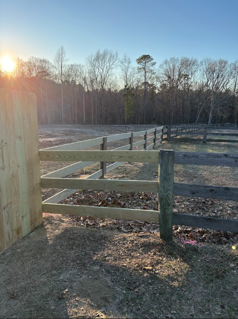 Sunlit farm scene with a wooden fence, a wooden gate, and a treeline.