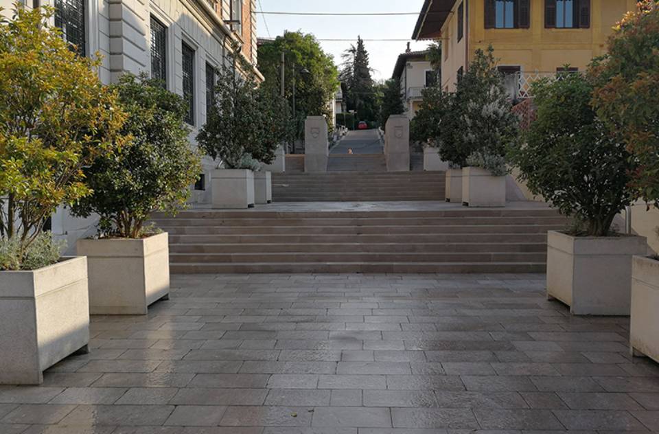 Una fila di piante in vaso è allineata davanti a una rampa di scale che conduce a un edificio.