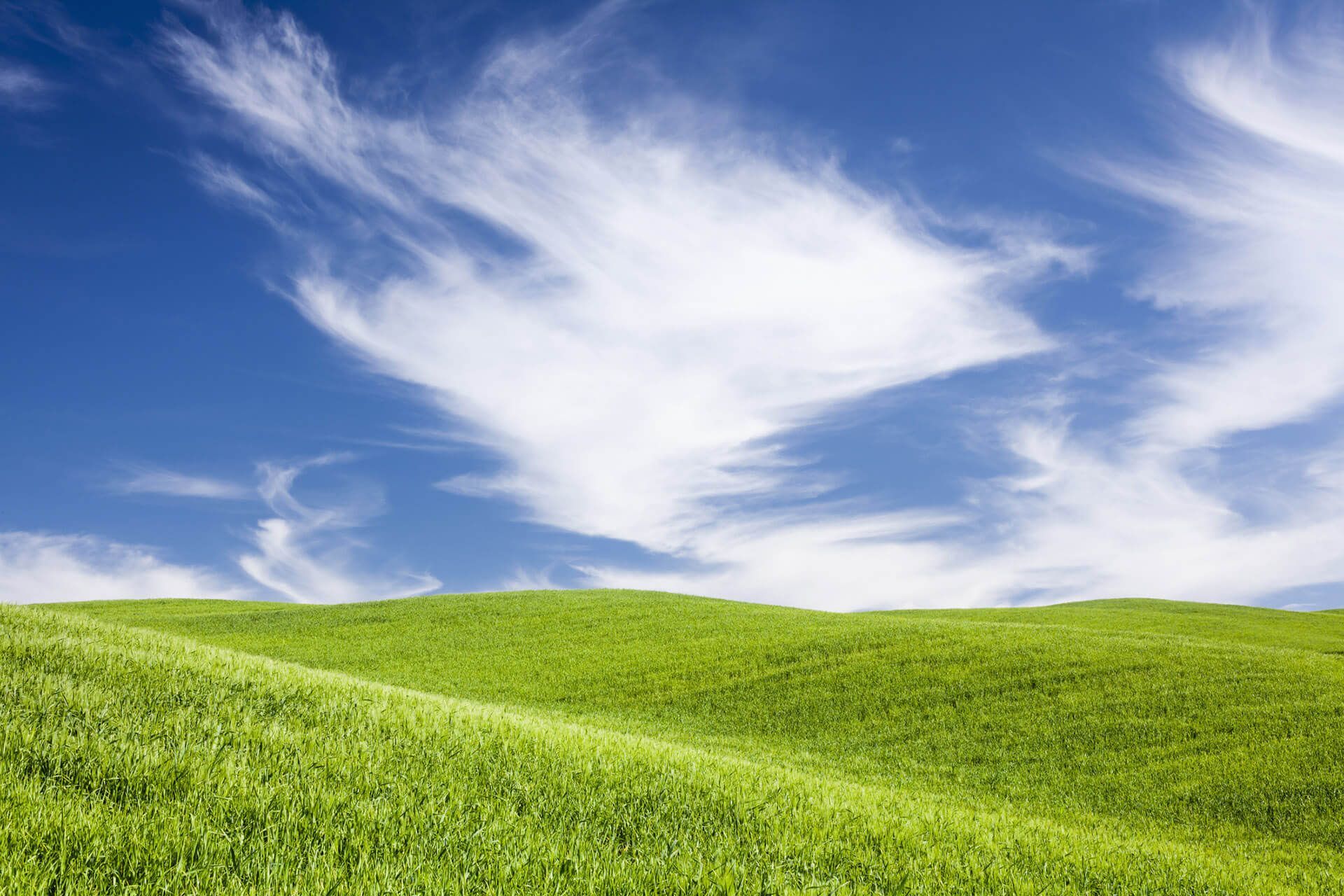 Un campo verde lussureggiante con un cielo azzurro e nuvole bianche