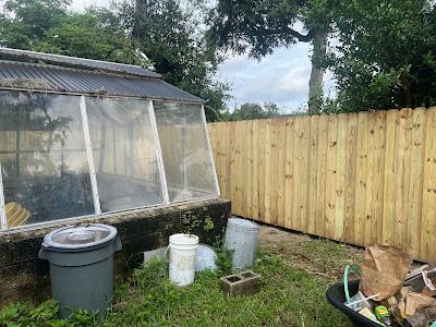 A greenhouse is behind a wooden fence in a backyard.