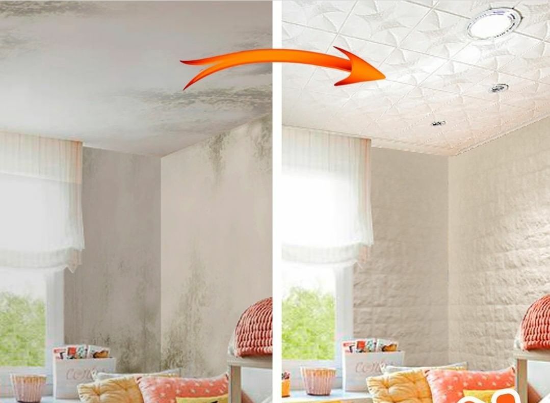 Habitación con techo y pared mohosos se transforma en una habitación limpia y luminosa.