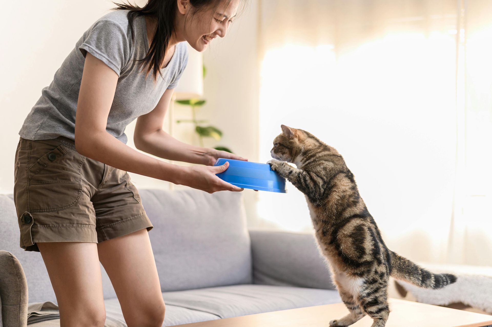 A woman is feeding a cat from a blue bowl in a living room.