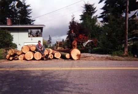Tree Removal — Logger in Everett, WA