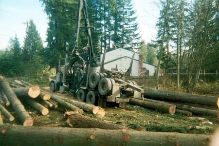 Logging Service — Trimming in Everett, WA
