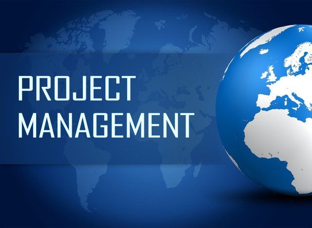 CYBER EXECS - Project Managment Services
