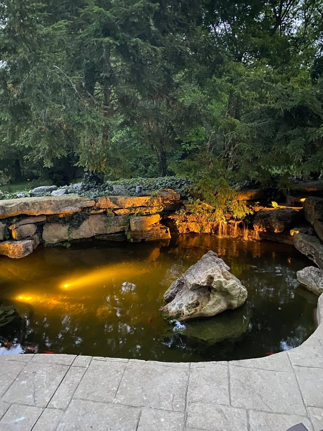 A large pond surrounded by trees and rocks is lit up at night.