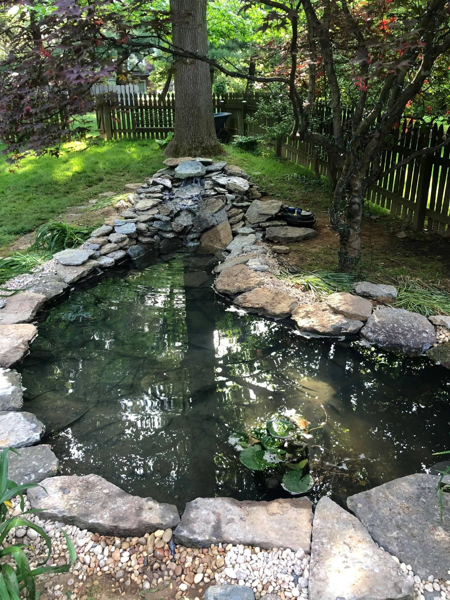 A pond surrounded by rocks and trees in a backyard.