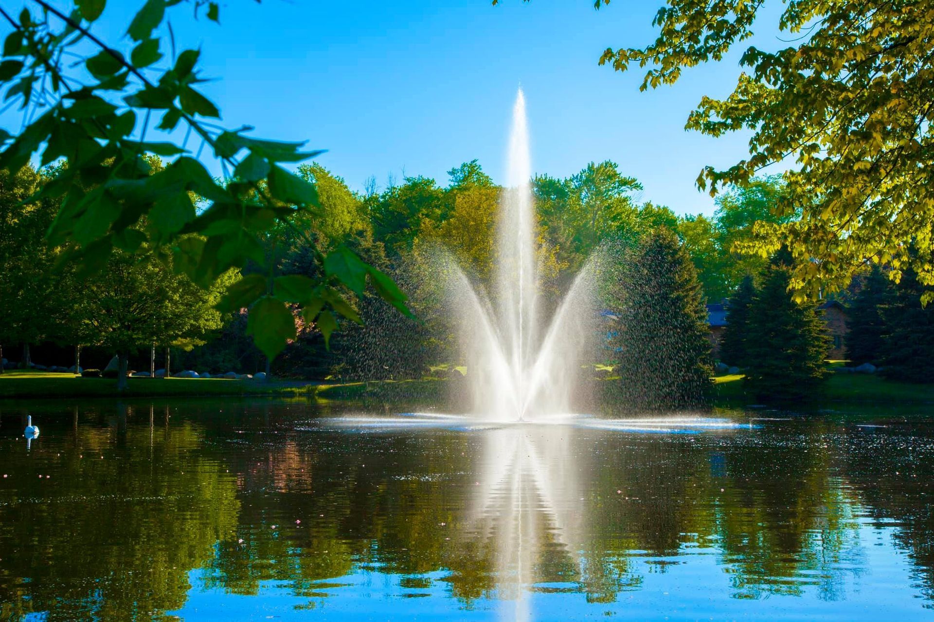 A fountain in the middle of a lake with trees in the background
