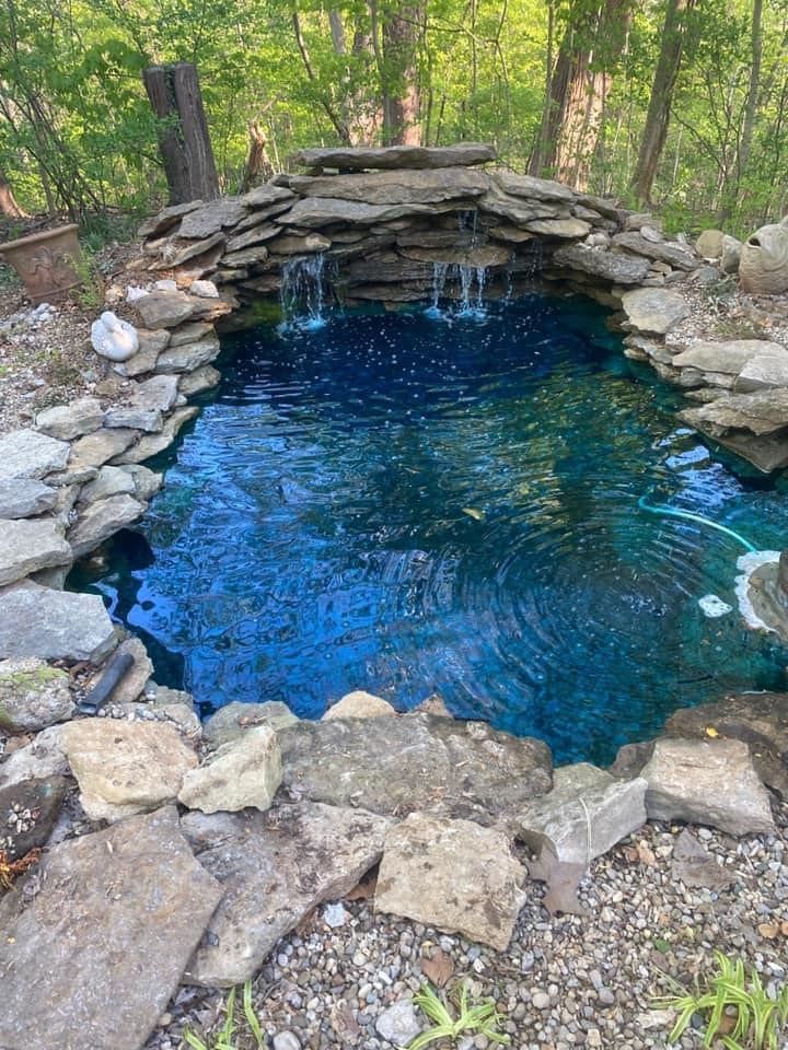 A small pond surrounded by rocks and waterfall in the middle of a forest.