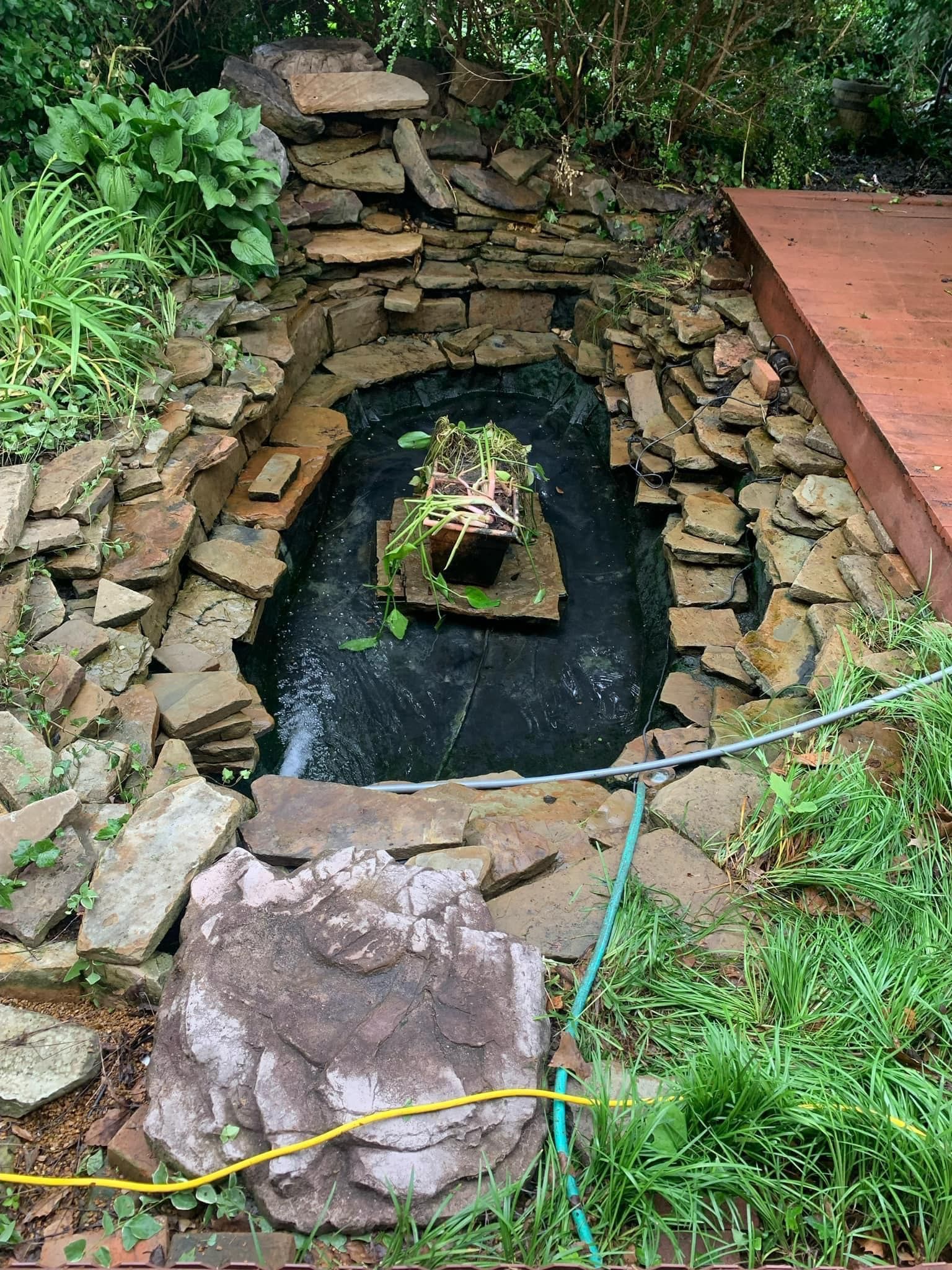 A small pond surrounded by rocks and grass in a backyard.