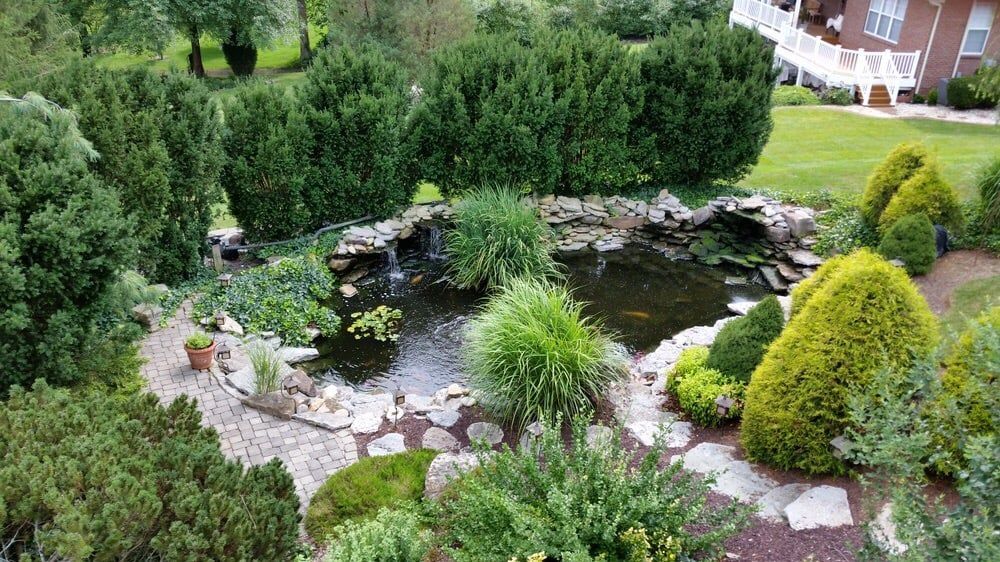 There is a pond in the middle of the garden surrounded by trees and bushes.