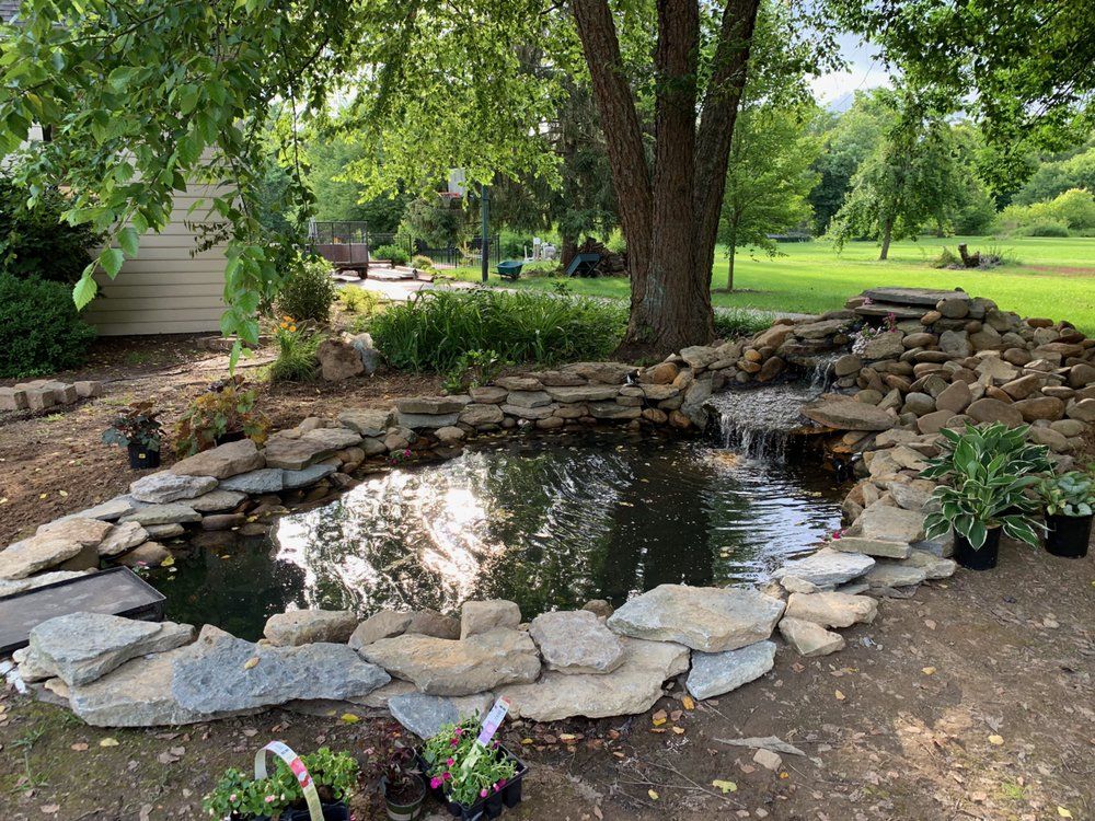 A pond surrounded by rocks and plants in a backyard.