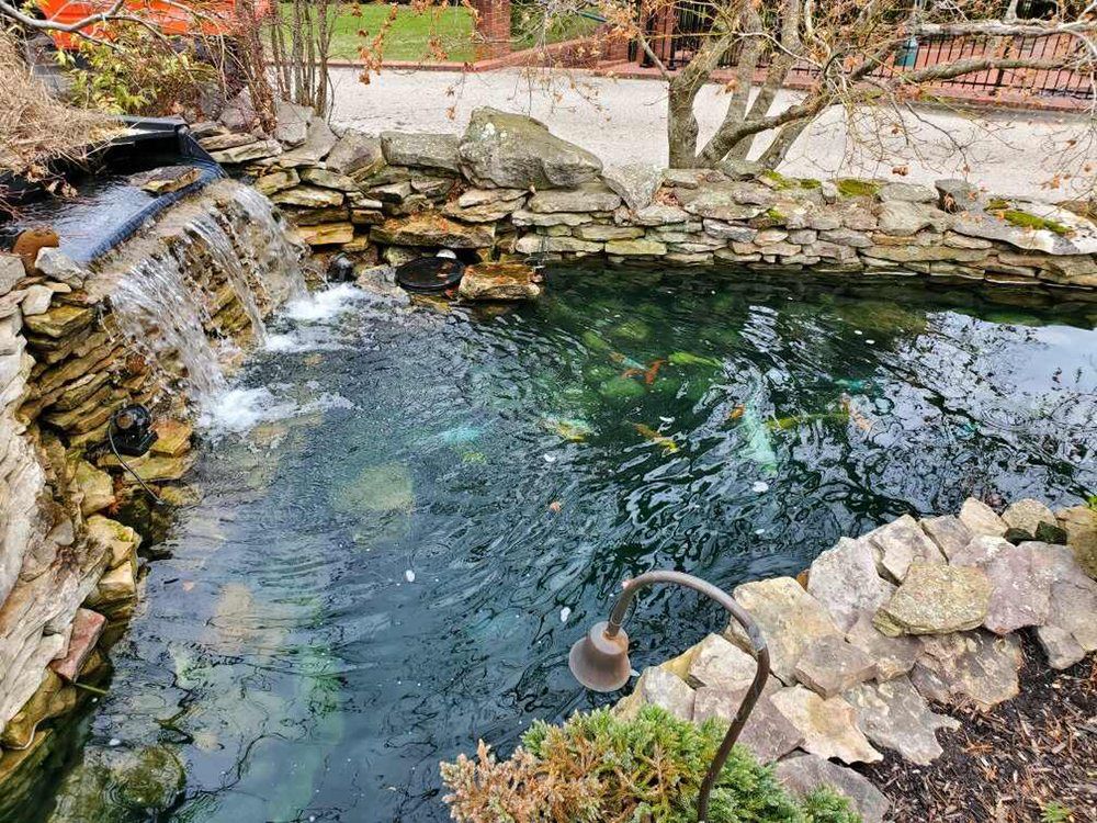 A pond with a waterfall and fish in it.