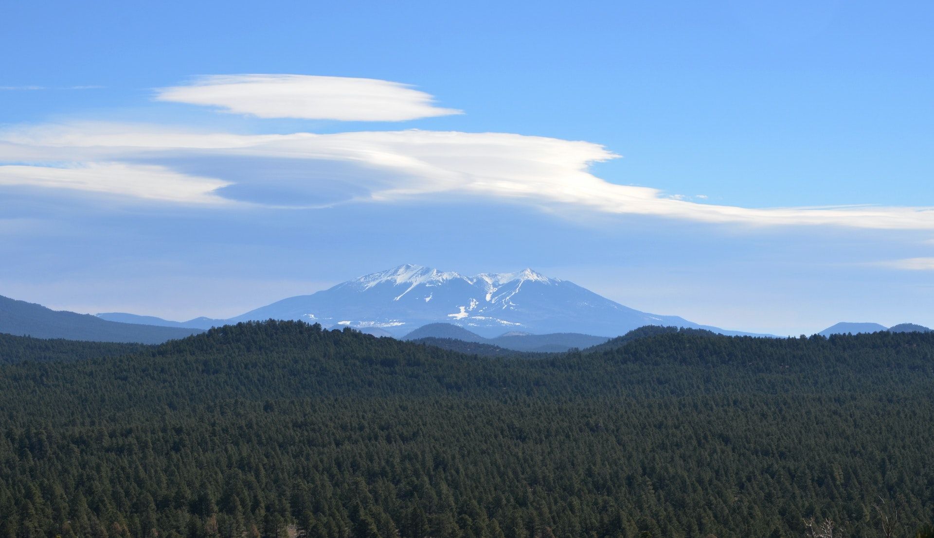 A mountain covered in snow is visible in the distance behind a forest.
