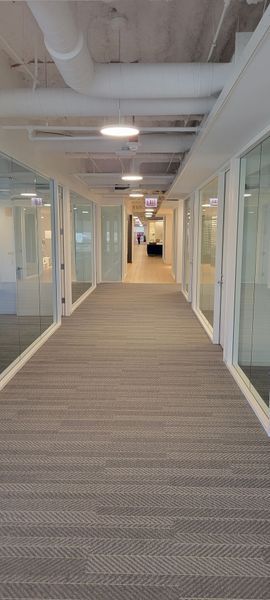 A long hallway in an office building with a carpeted floor and glass walls.