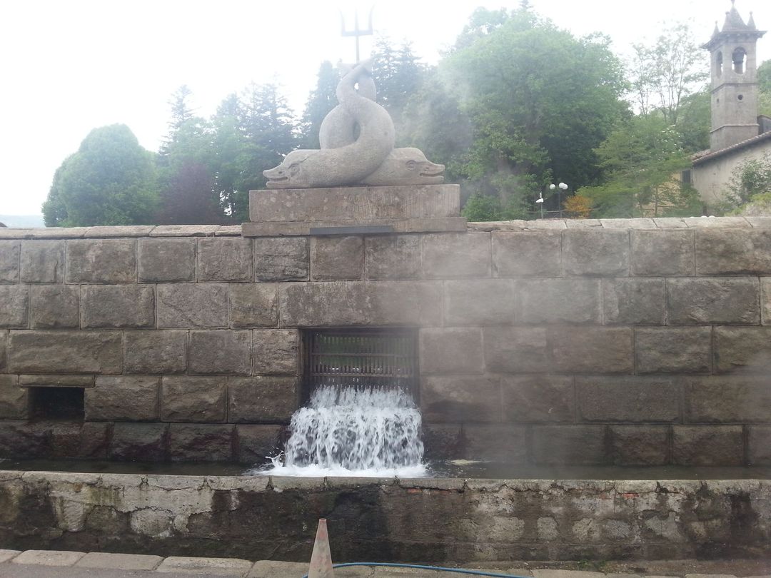 Una fontana in pietra con una scultura di delfino in cima, che riversa acqua in una vasca, sullo sfondo di alberi e un edificio.