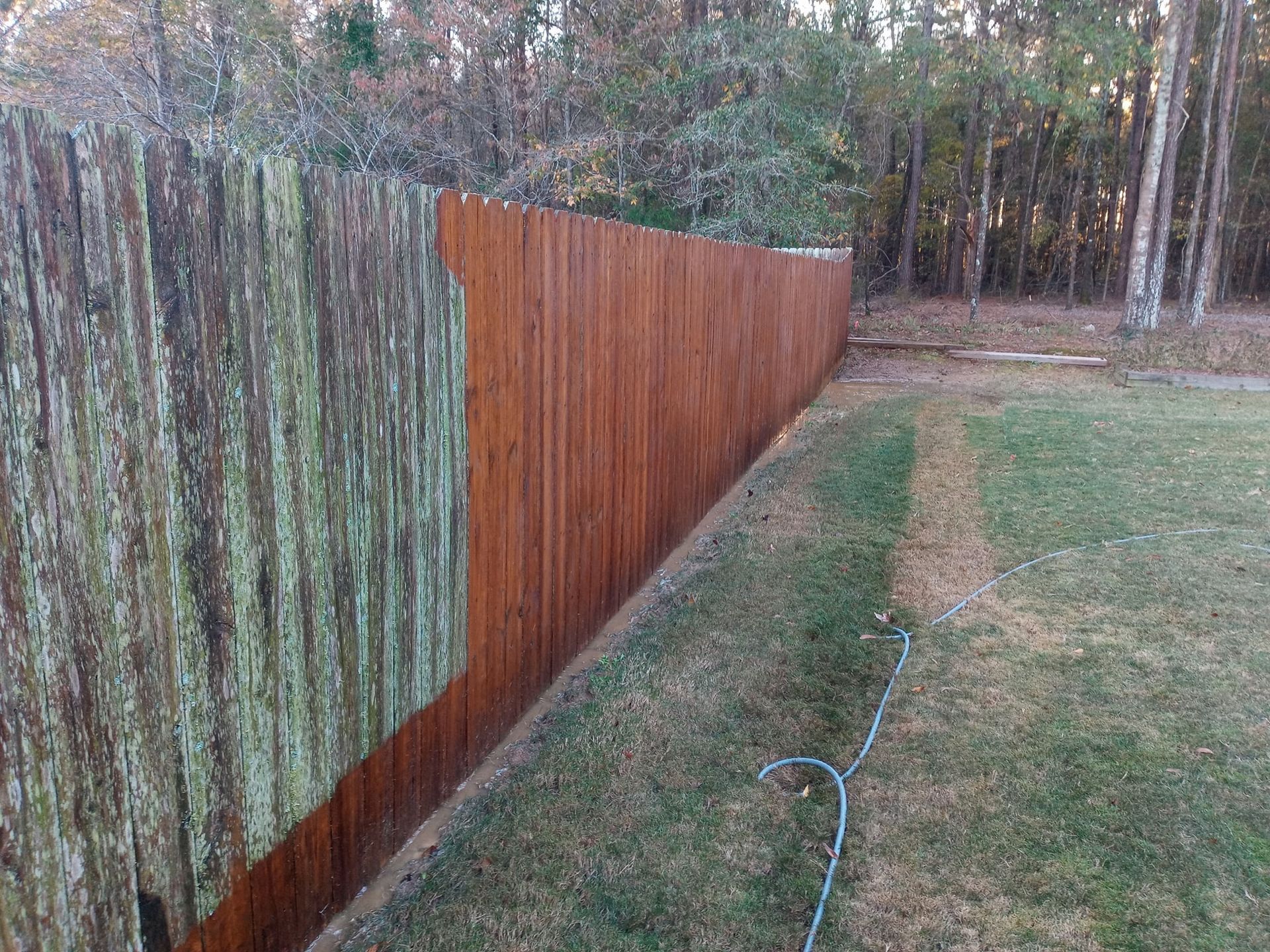 A wooden fence with moss growing on it in a backyard.