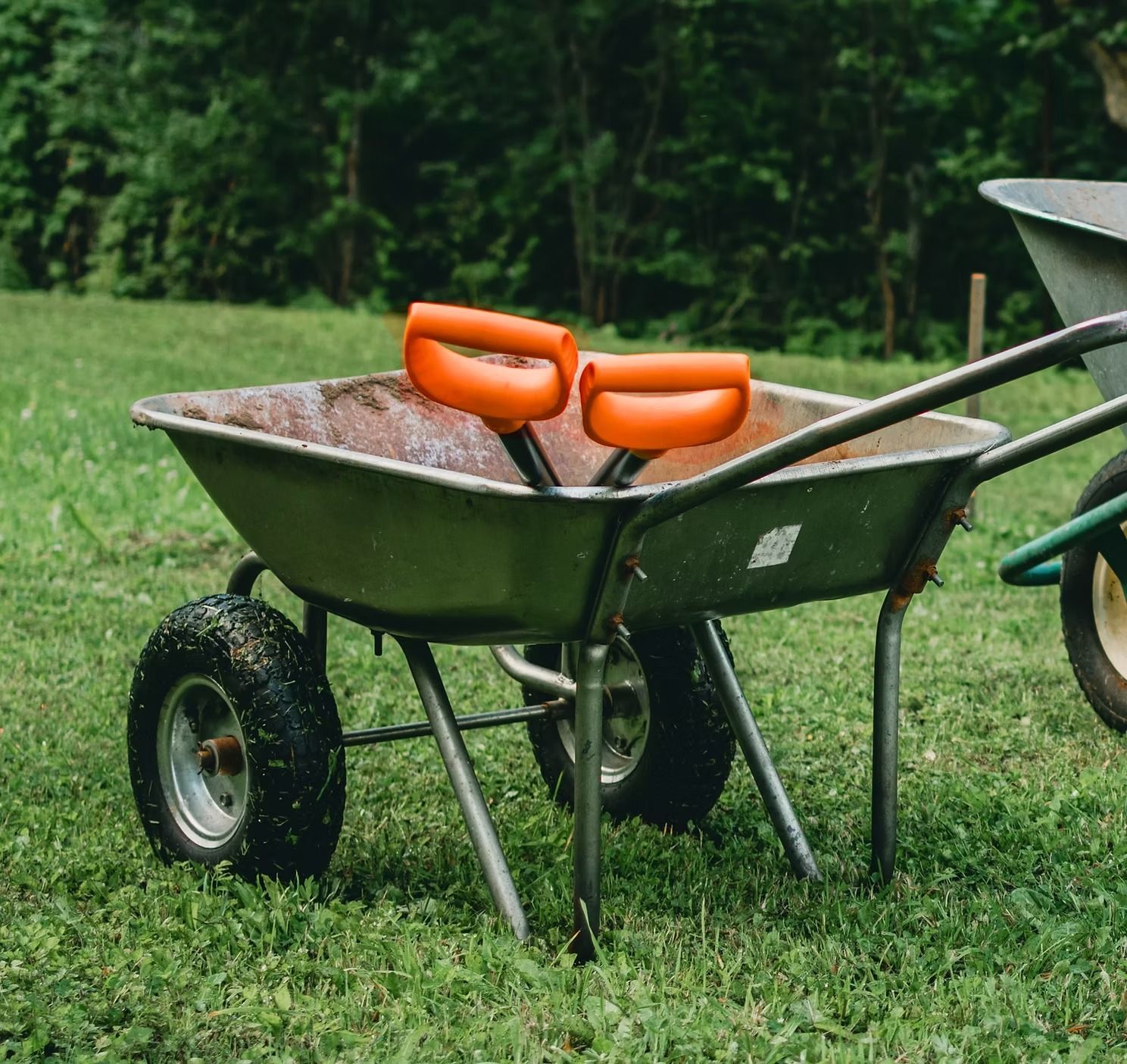 Two orange-handled garden tools resting inside a metal wheelbarrow on a grassy lawn.
