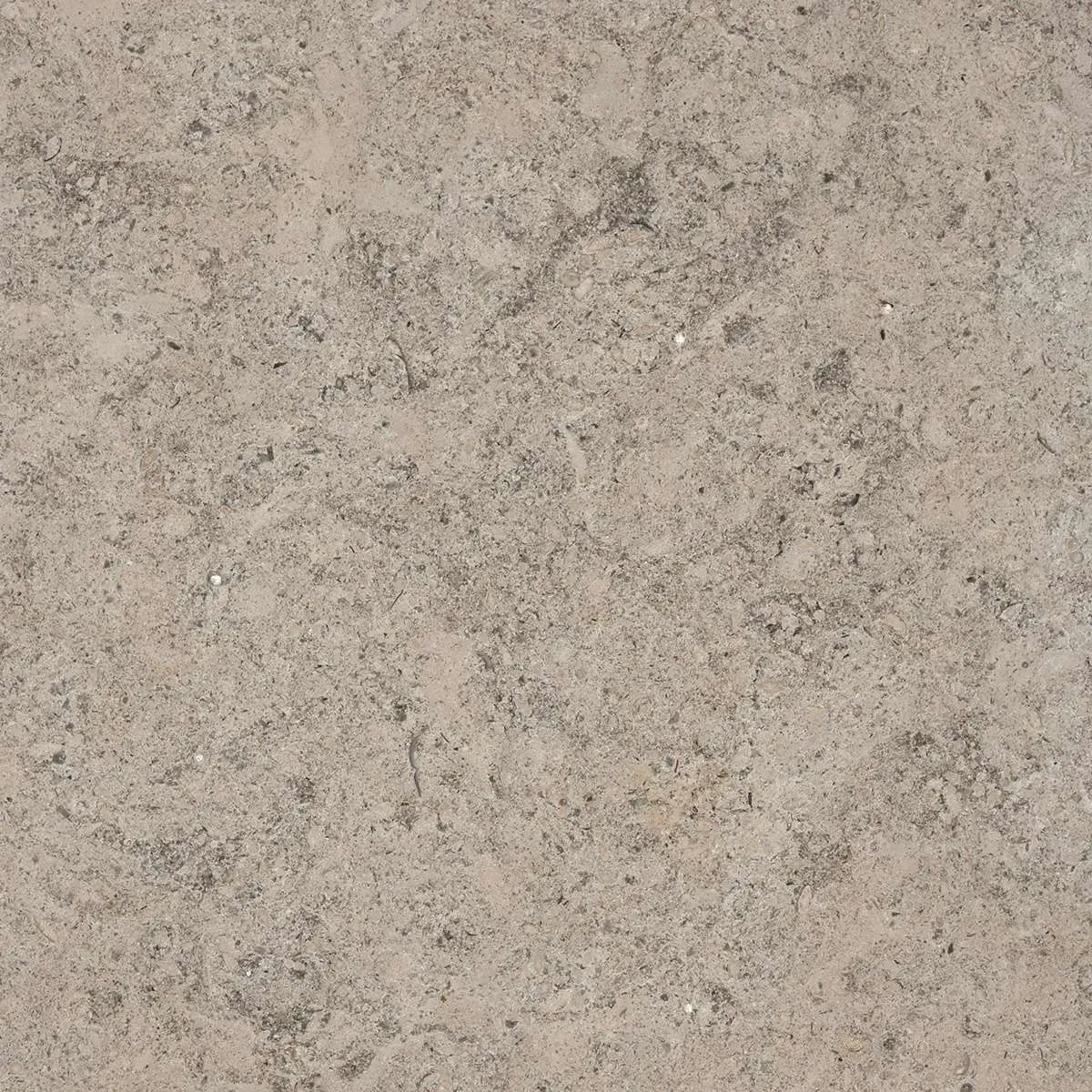 Argentino Veil Brushed stone finish