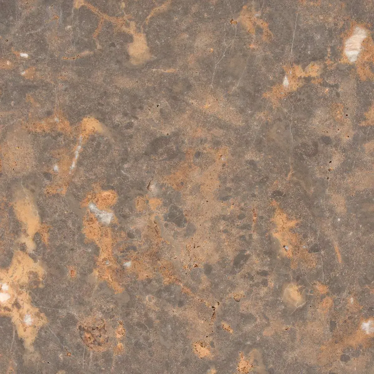 Aurelia Brushed finish