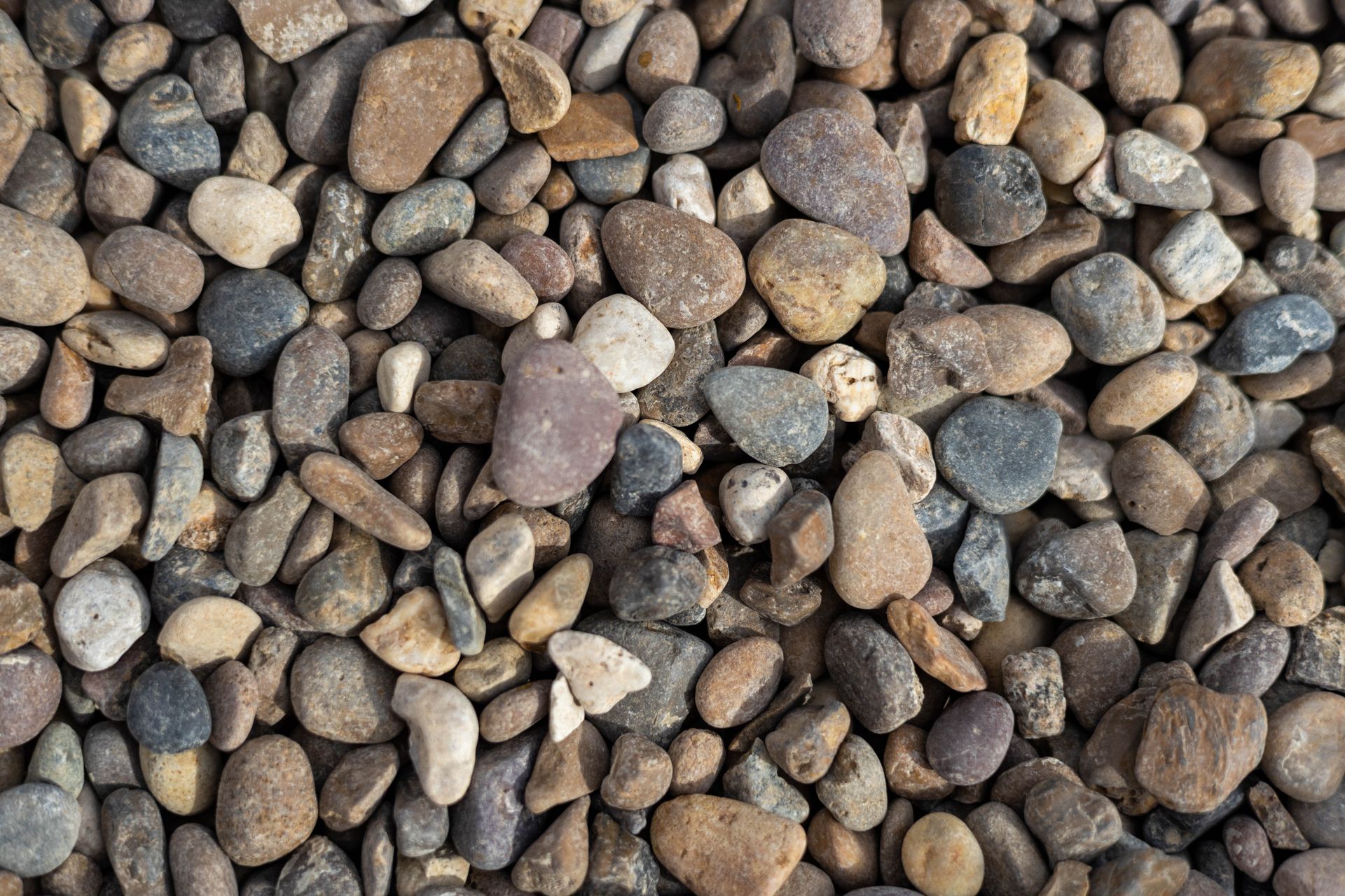 Close-up of mixed brown, gray, and tan pebbles covering the ground