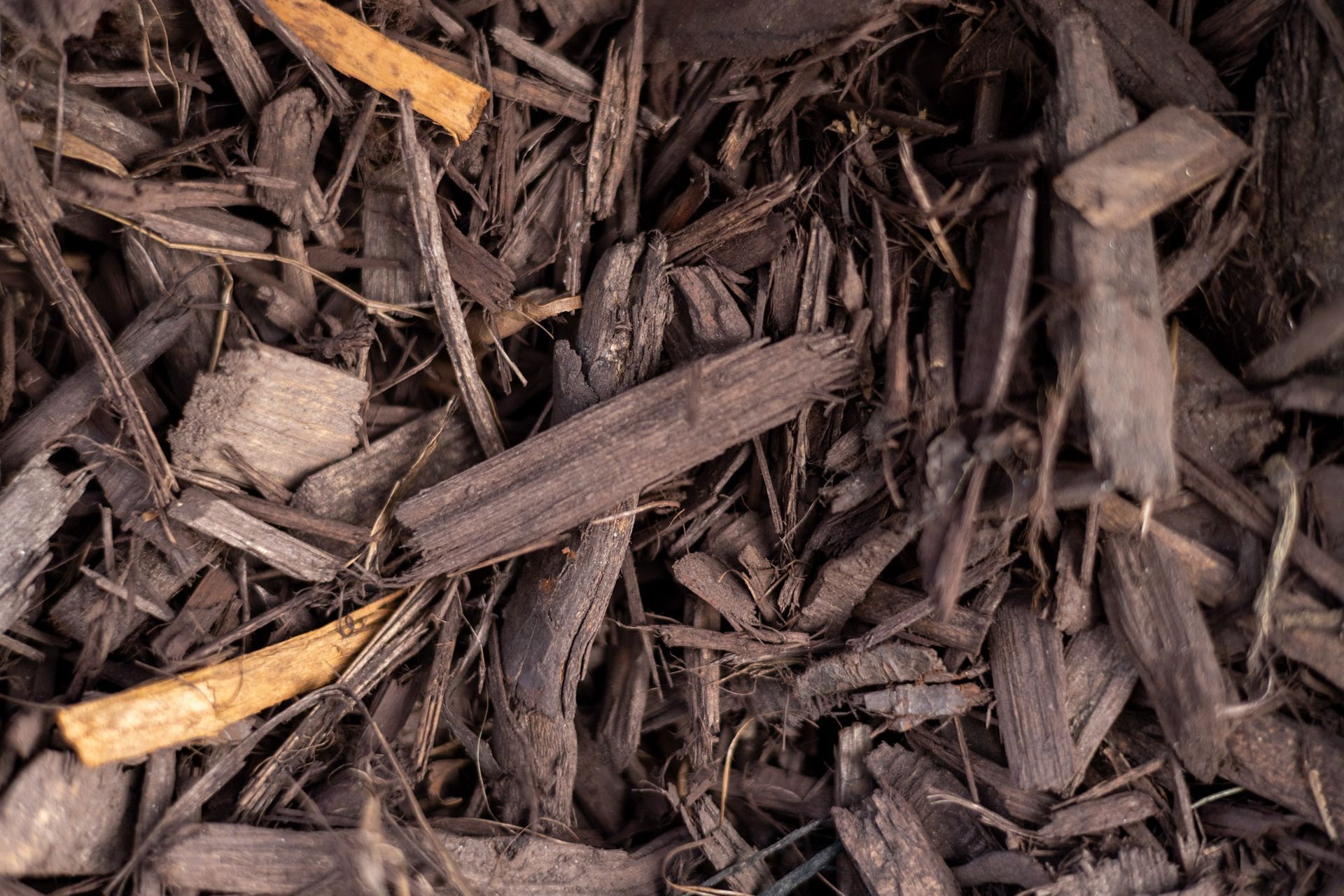 Brown Dye Mulch