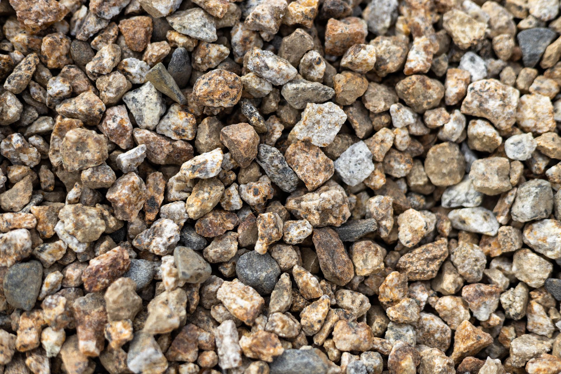 Close-up of small tan and gray gravel stones filling the frame
