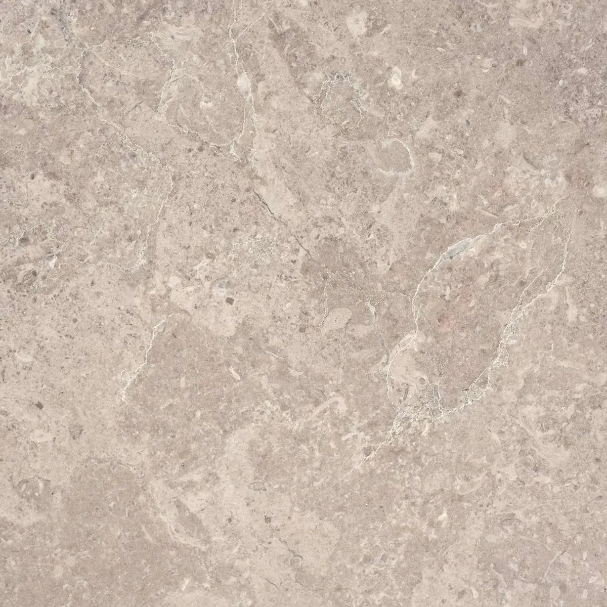 Ferrara Brushed finish