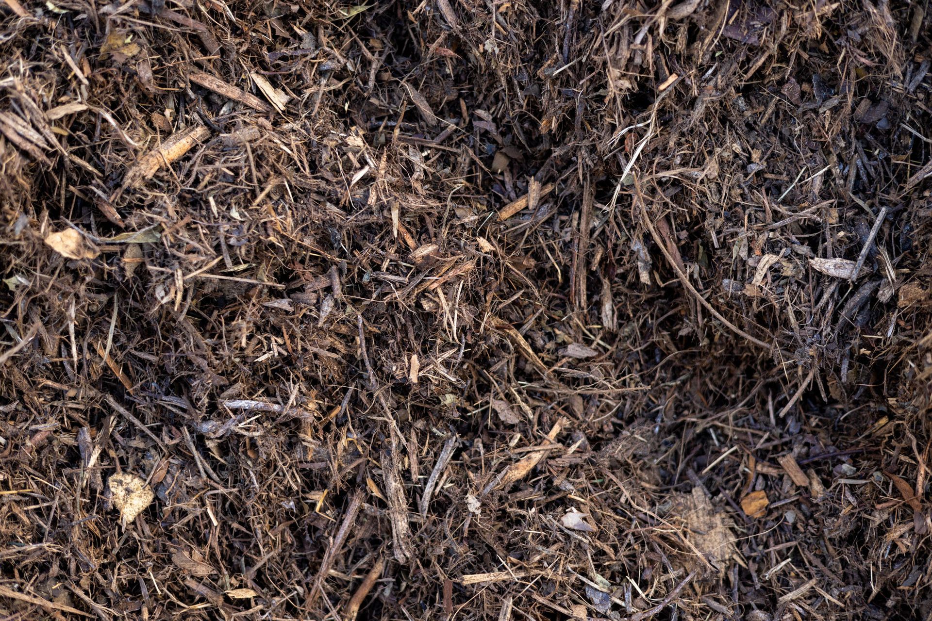 Forest Floor Mulch