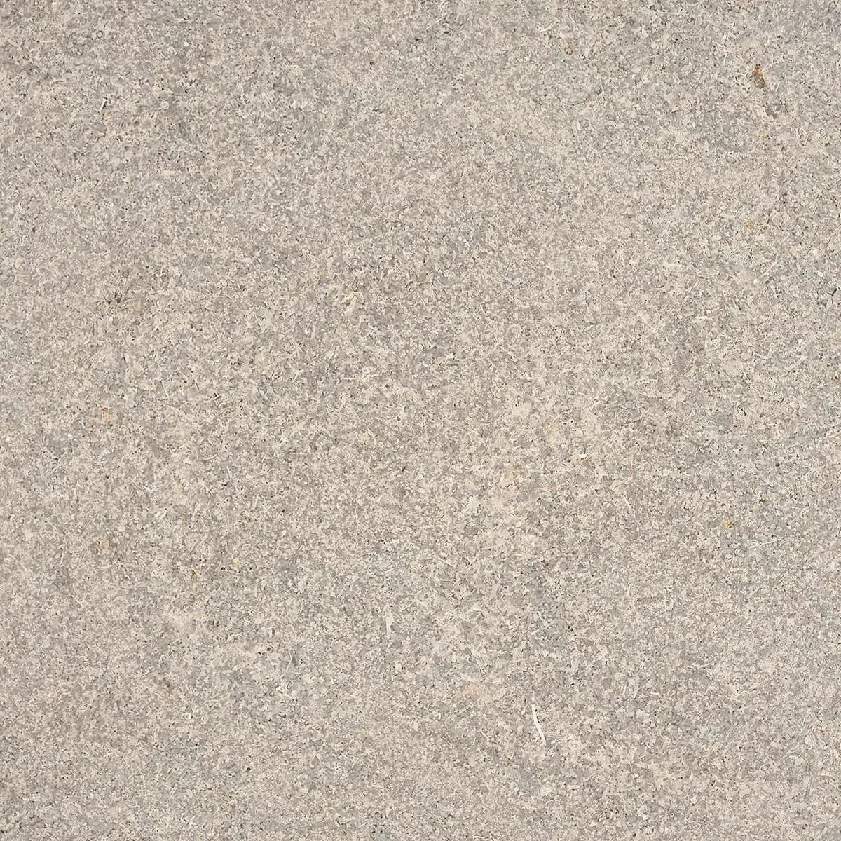 Indiana Full Color Honed limestone finish