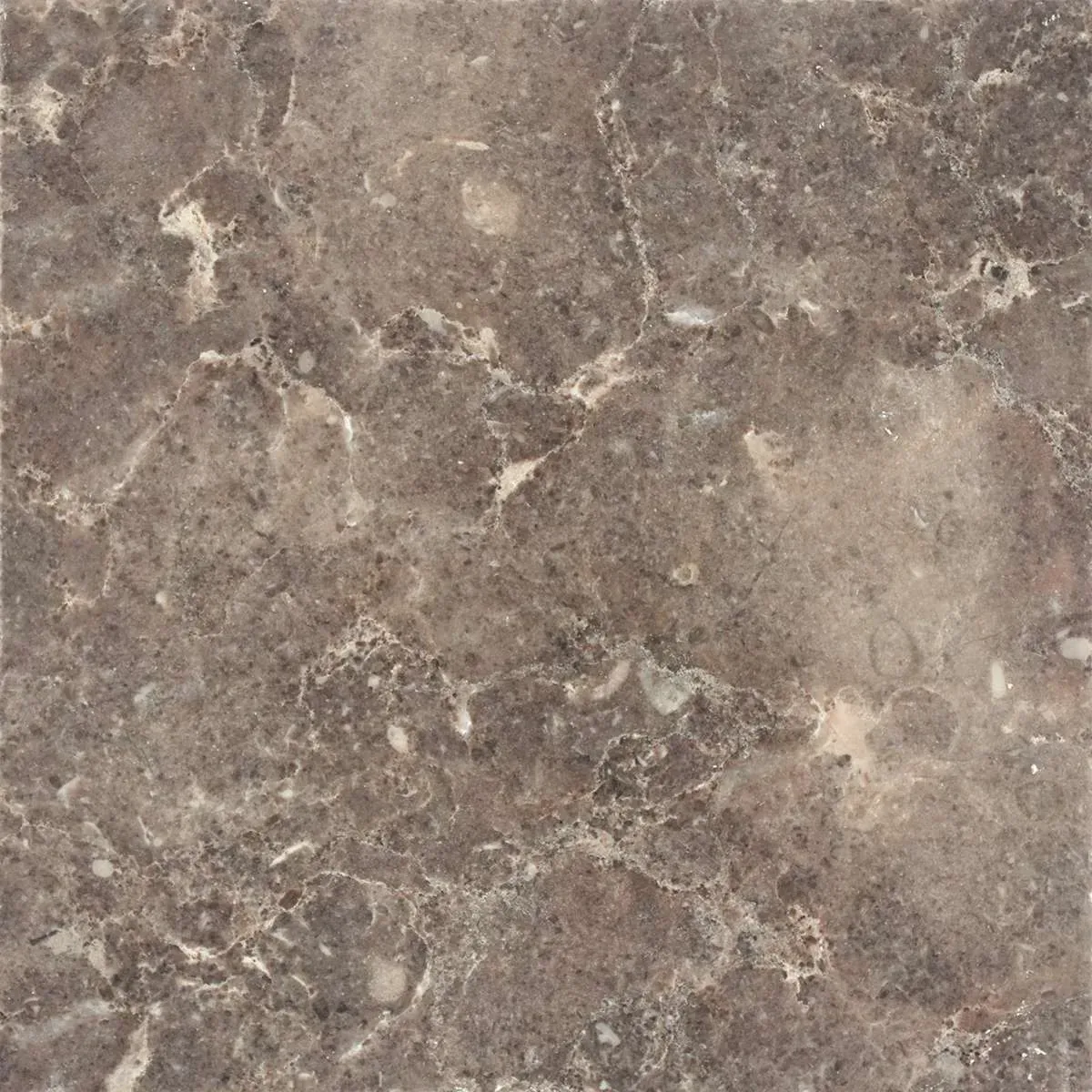 Ivory Crest Polished finish