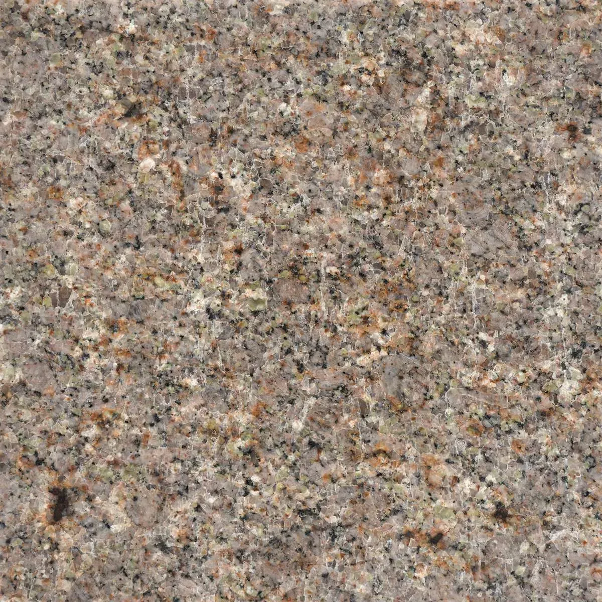Kiona Beige Polished granite finish