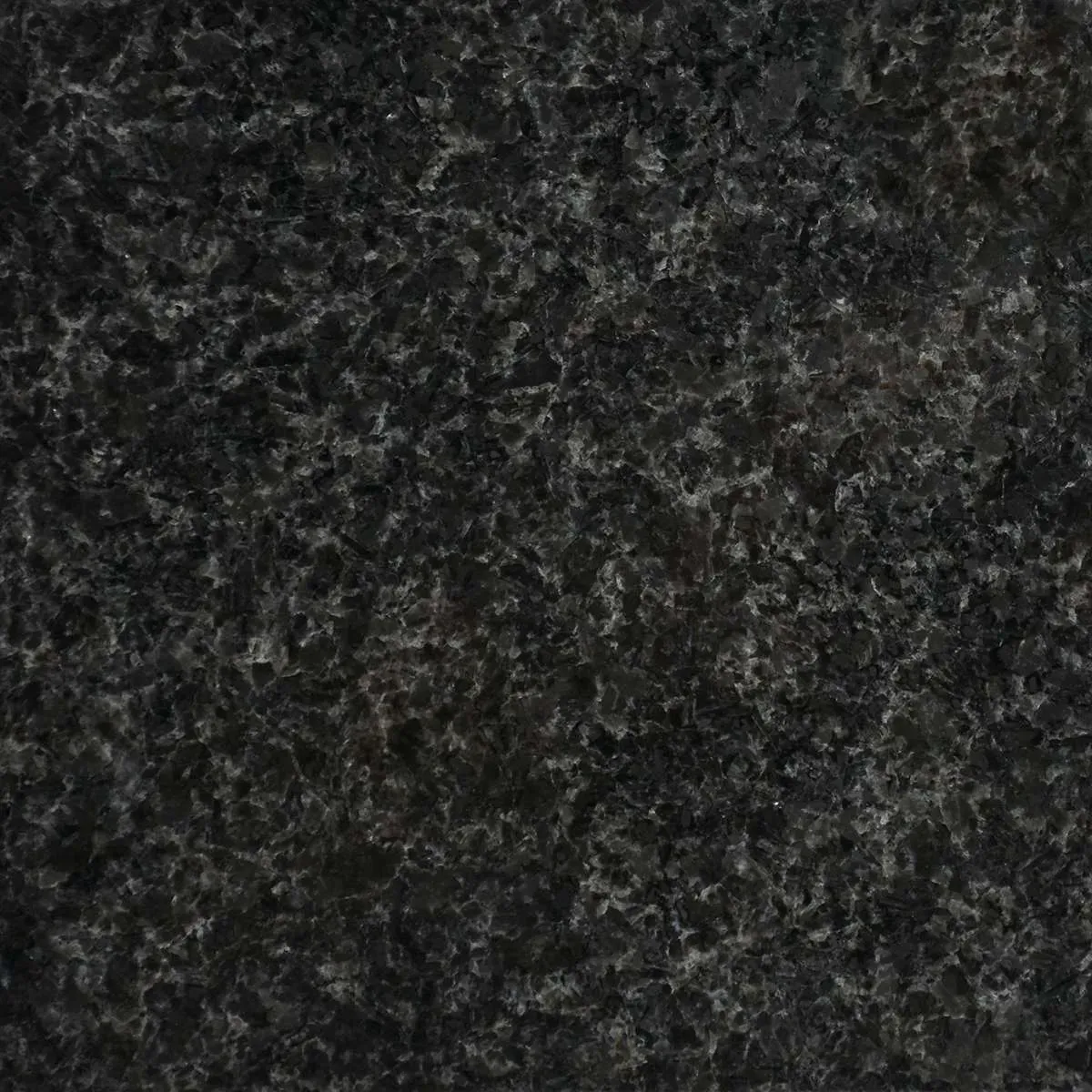 Nocturne Polished finish