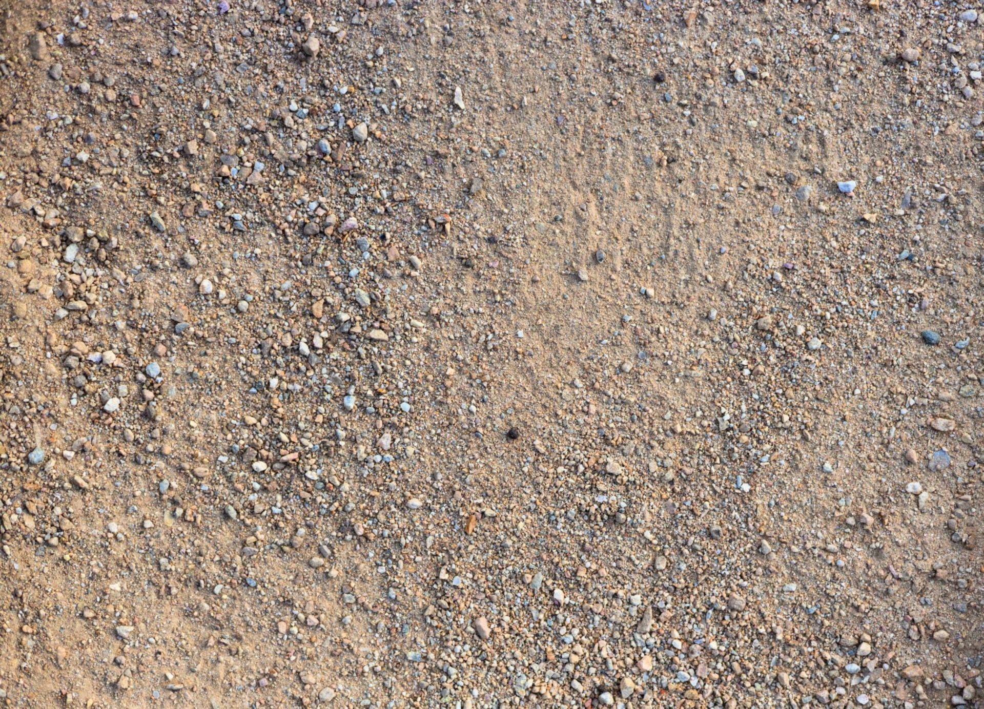 Palm Springs Gold DG