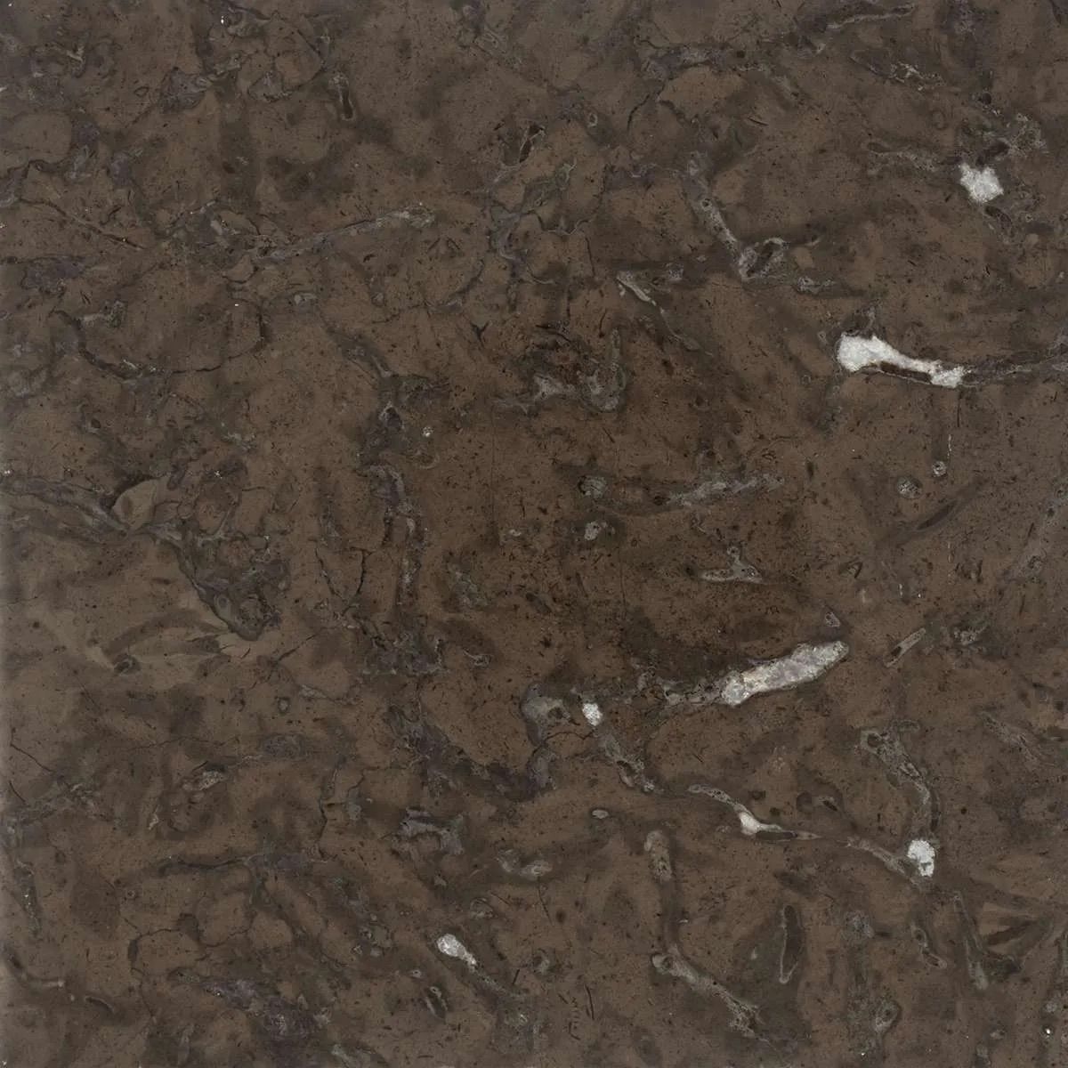 Sierra Umber Polished finish