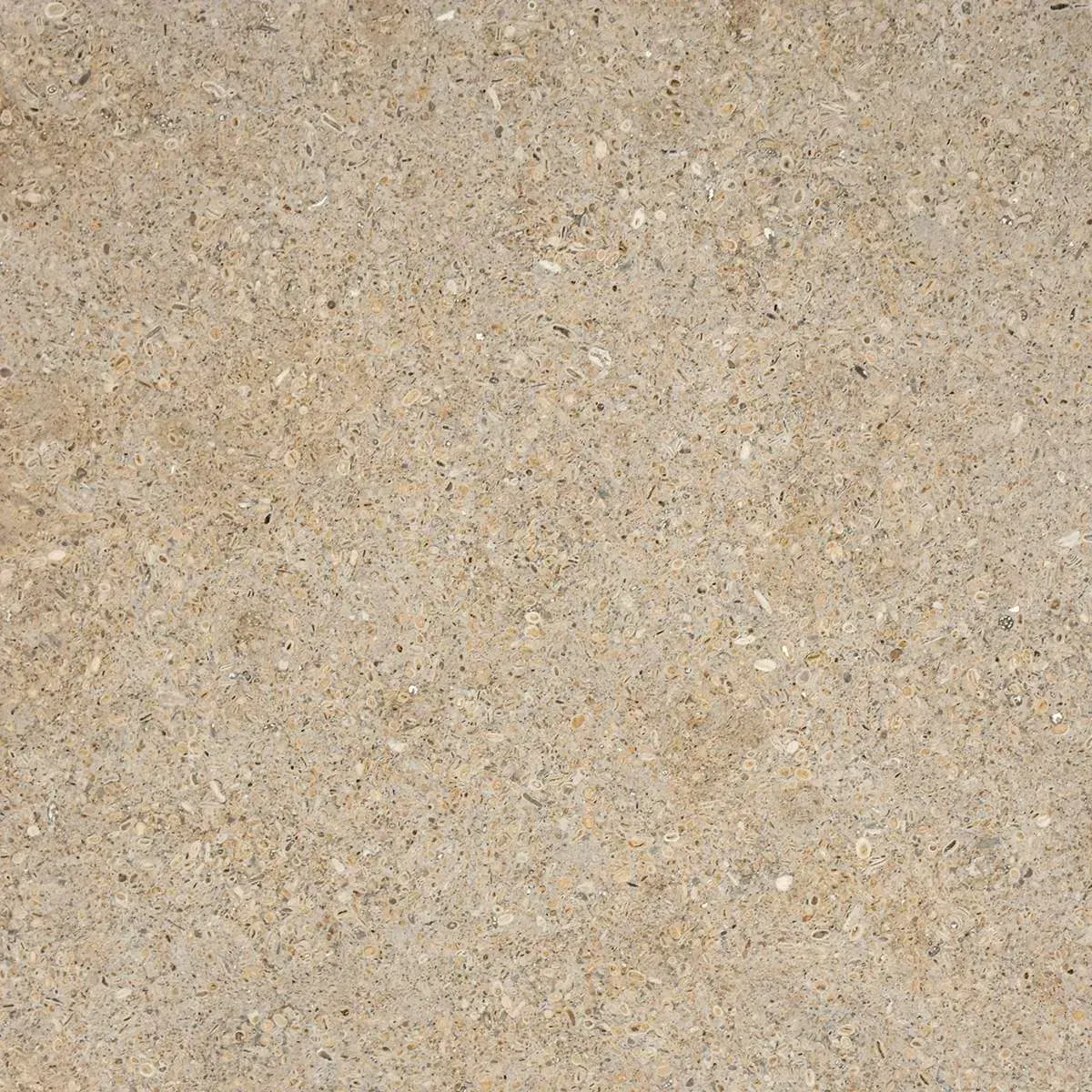 Luminara Honed finish