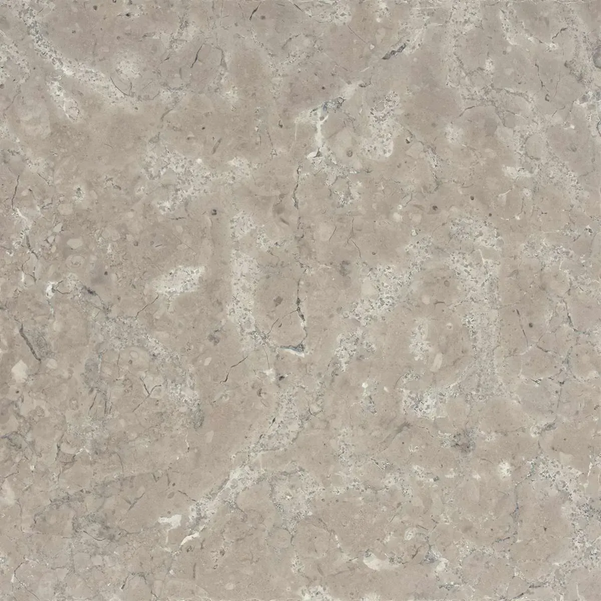 Cortona Honed finish