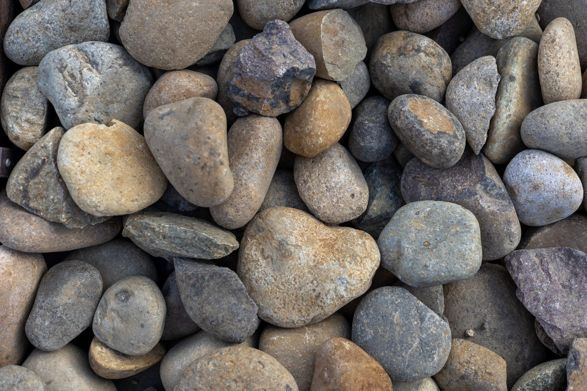 San Diego Tan Cobble