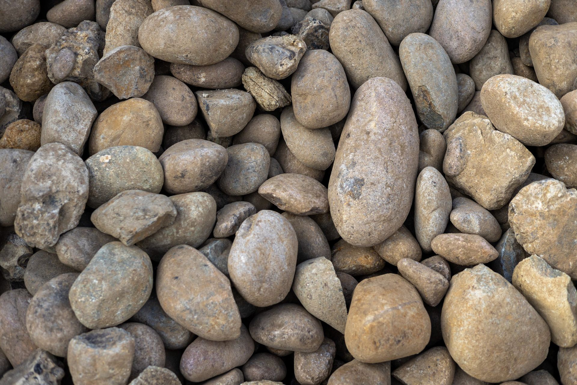 San Diego Tan Cobble