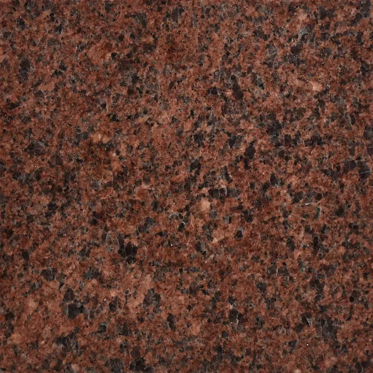 Terranova Polished granite finish