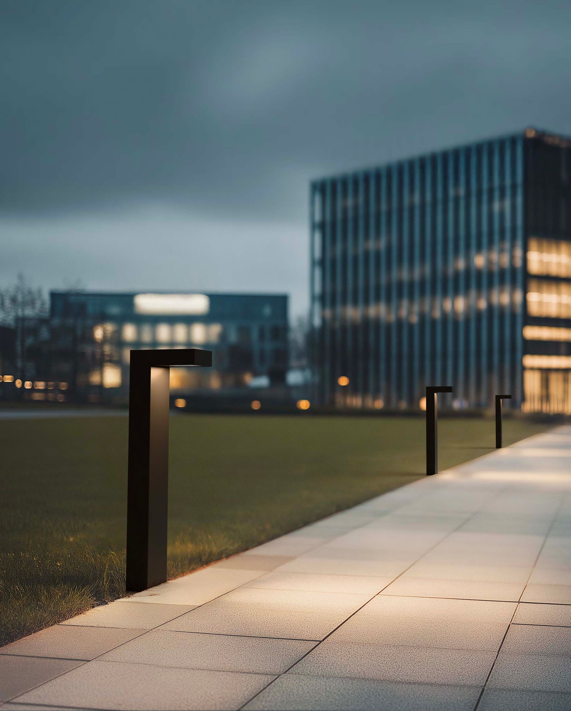 Grand Ledge installed view