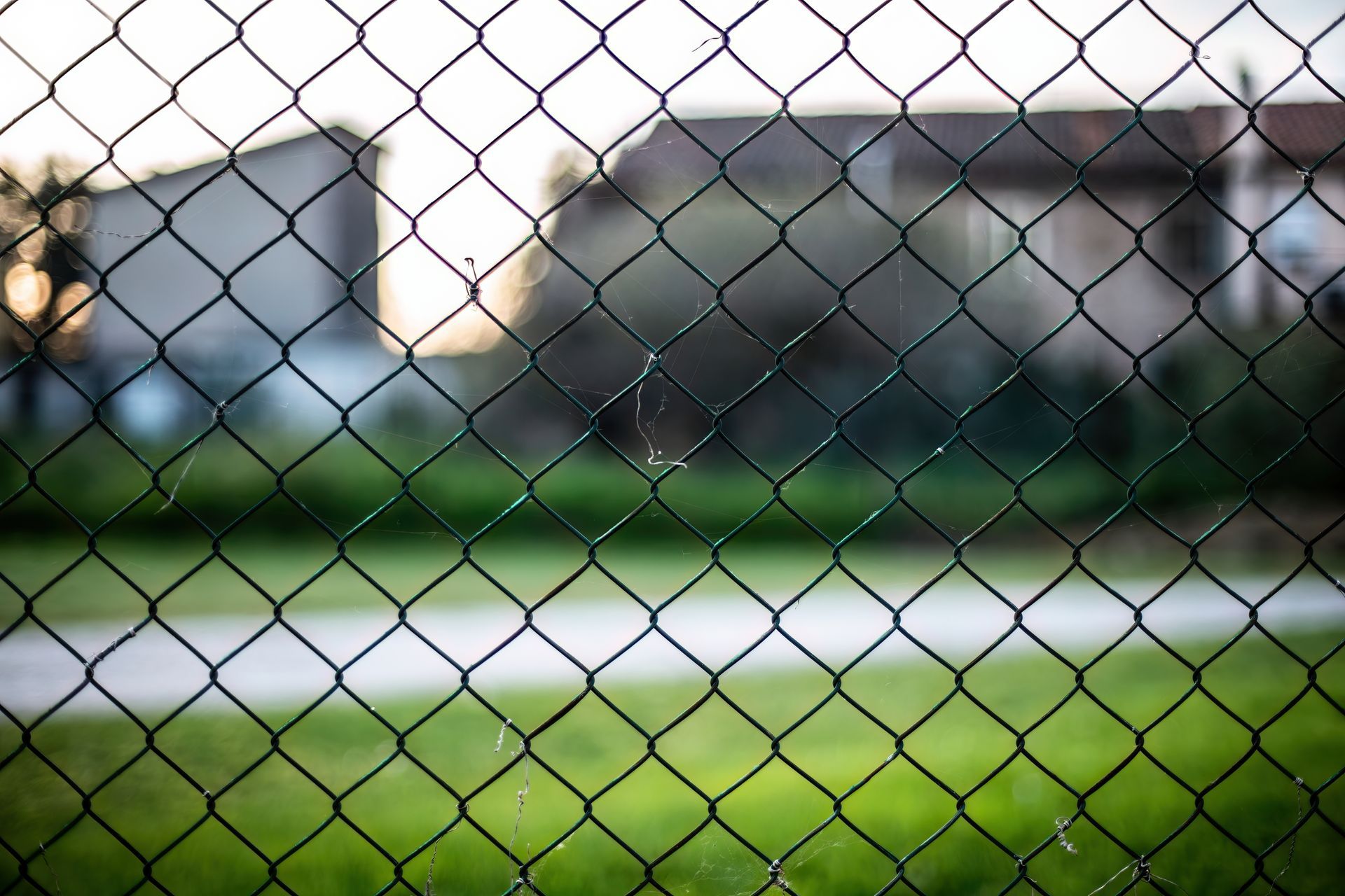 Chain-link fence in foreground, blurred buildings and grassy field in the background. Green and gray tones.
