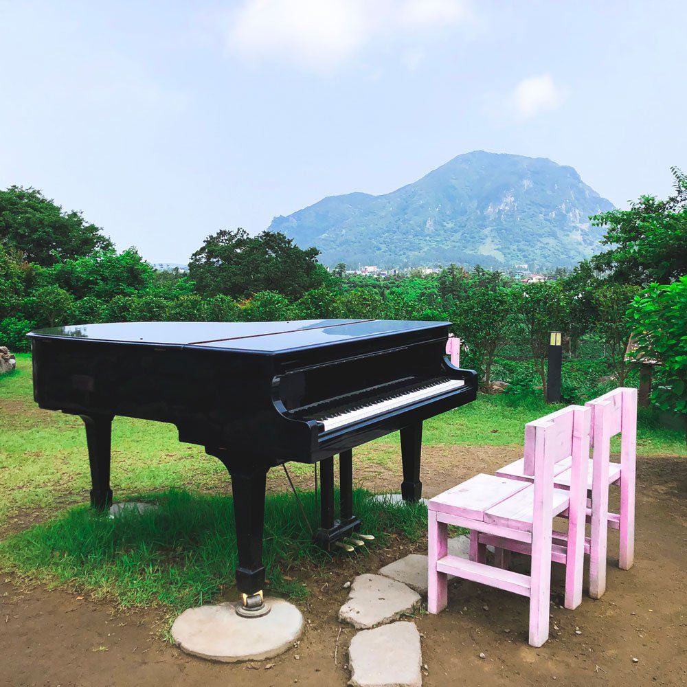 Piano Outdoors — Jenkintown, PA — Ken Coleman's Piano Service